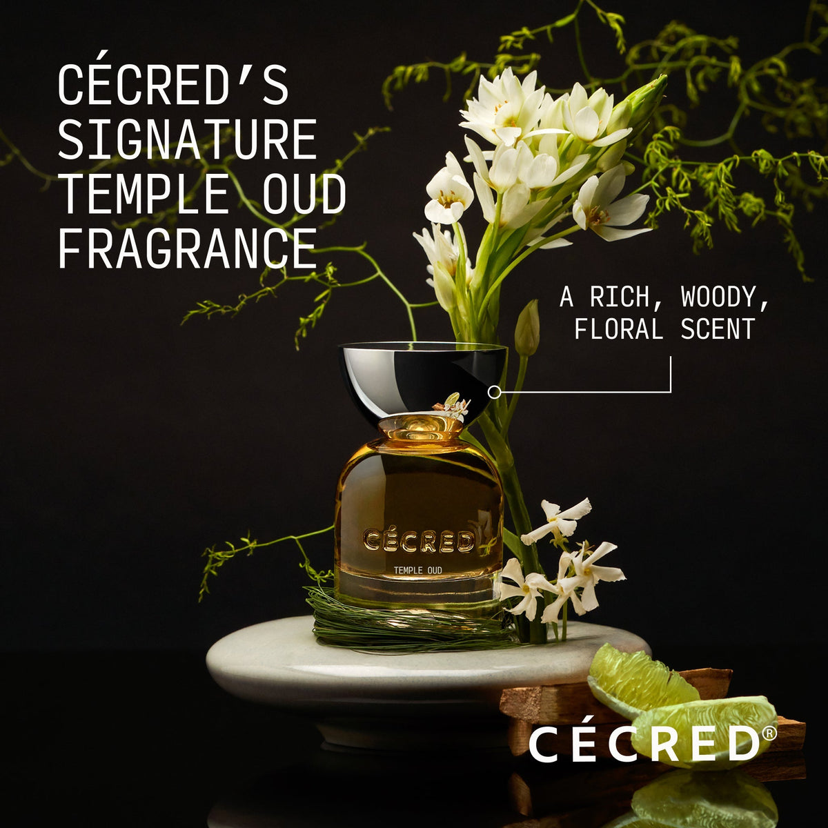 Temple Oud™ Hair Perfume - image 2