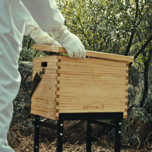 BEY KEEPER COLLECTOR'S BOX - LIMITED EDITION OF 500