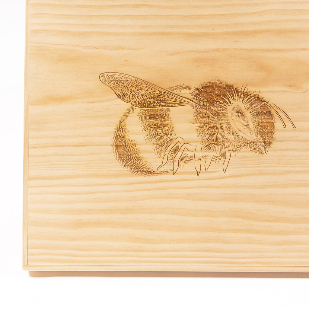 BEY KEEPER COLLECTOR'S BOX - LIMITED EDITION OF 500 - image 3